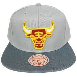 Chicago Bulls Mitchell & Ness NBA Snapback Hat Cap 3D Logo Gray Dark Gray NWT‎